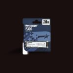 P300 M.2 2280 PCIe Gen.3 x 4 SSD 256GB